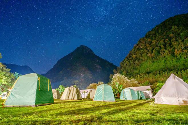 关于一起露营吧收视率如何的信息