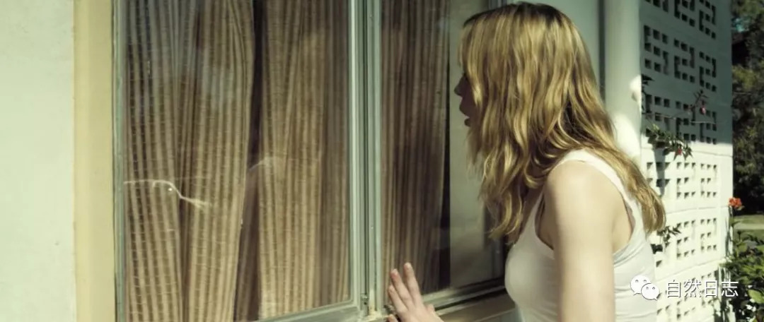 {六合彩}(恐怖游轮免费观看完整版西瓜) {六合彩}(恐怖游轮免费观看完整版西瓜)