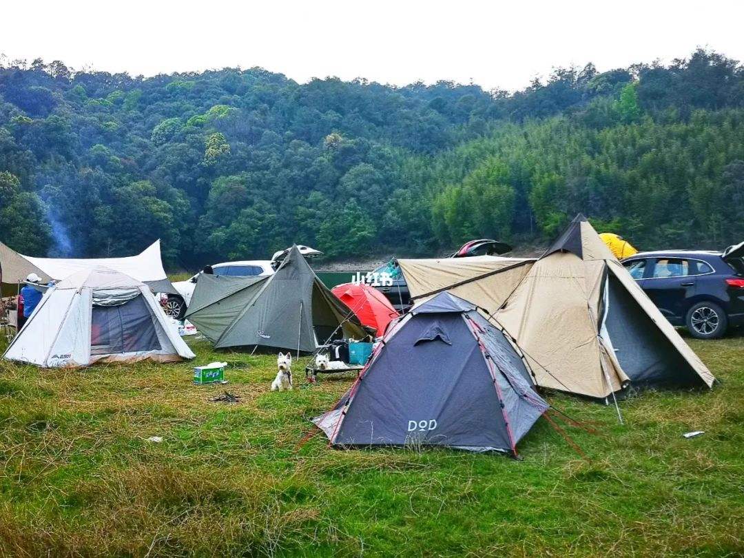 {六合彩}(广州适合自驾露营的地方) {六合彩}(广州适合自驾露营的地方)
