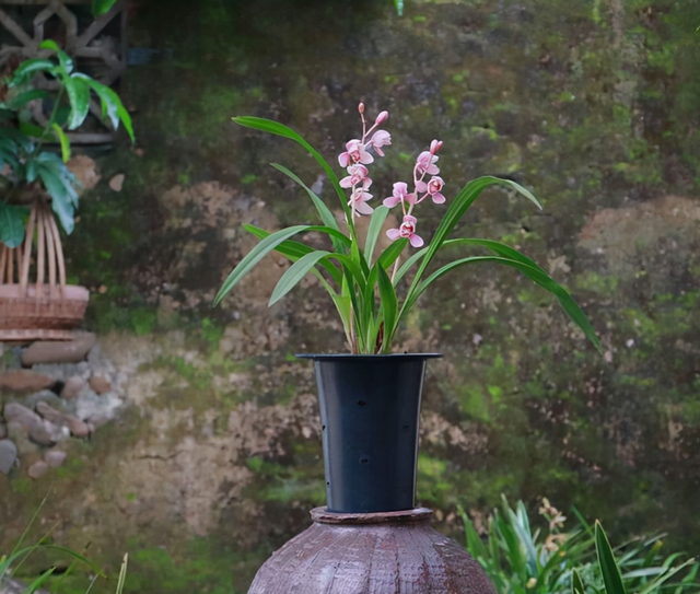 {Online Casino}(精品中的精品什么意思啊) {Online Casino}(精品中的精品什么意思啊)